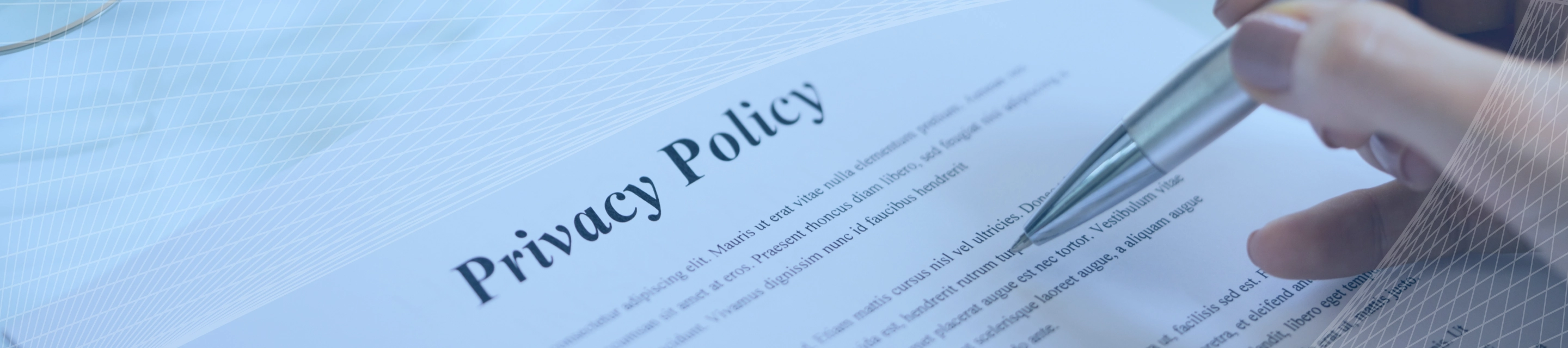 Privacy Policy for individuals outside Japan